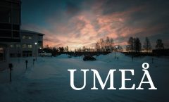 Umeås gastronomiska förnyelse en matrevolution i norr